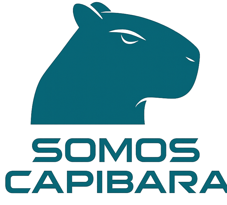 Casanare Comercio